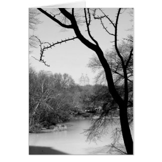 Winter Tree - Central Park NYC Cards