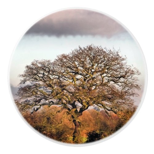 WINTER TREE CERAMIC KNOB