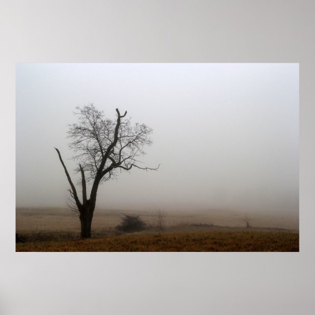 Winter Tree Foggy Meadow Poster (Front)