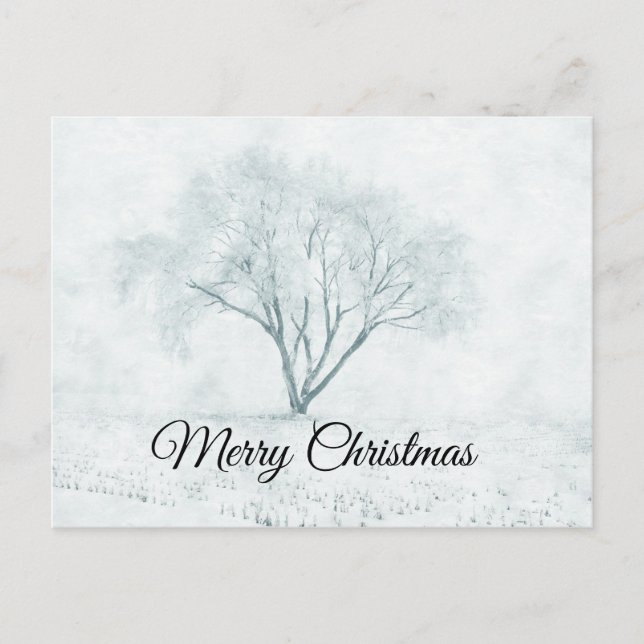 Winter Tree Holiday Postcard (Front)
