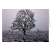 Winter Tree Landscape (Front Horizontal)