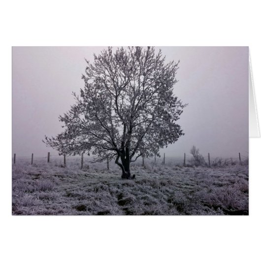 Winter Tree Landscape Cards (Front Horizontal)