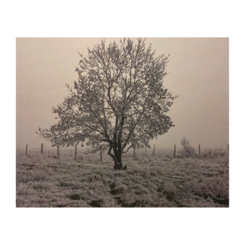 Winter Tree Landscape Wood Wall Art