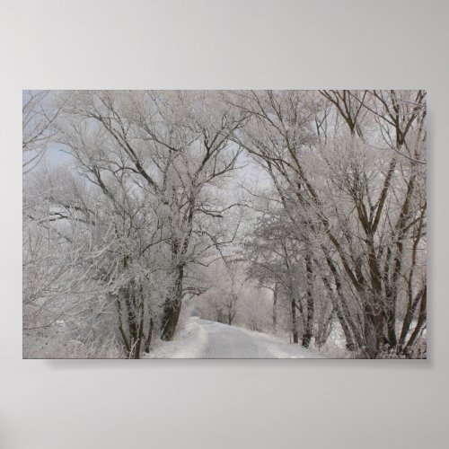 Winter Tree Lined Street Poster