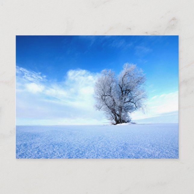 Winter tree postcard (Front)