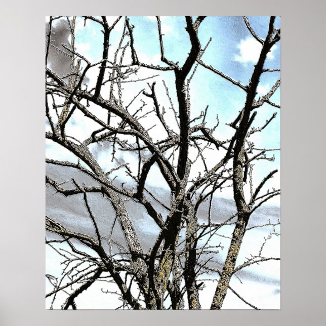 WINTER TREE POSTER (Front)