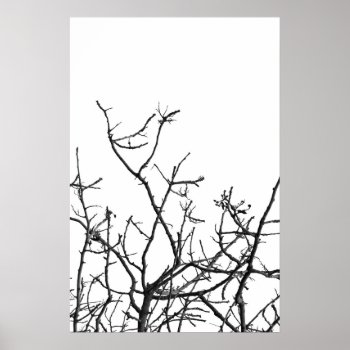 Winter Tree Poster by sirylok at Zazzle