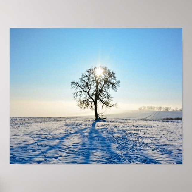 Winter Tree - - Poster (Front)