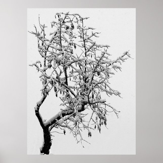 Winter Tree Print (Front)