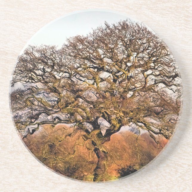 WINTER TREE SANDSTONE COASTER (Front)