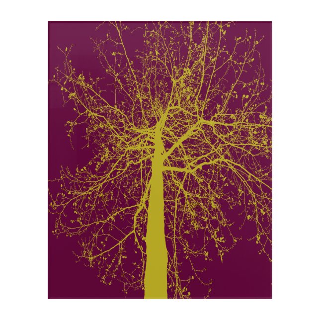 Winter Tree Silhouette Acrylic Print (Front)