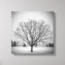 Winter Tree Stretched Canvas Print
