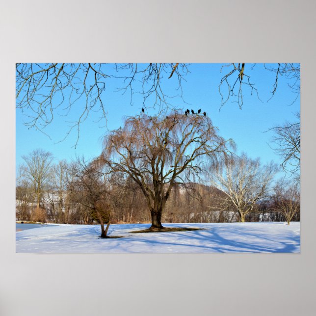 Winter Tree with Birds  Poster (Front)