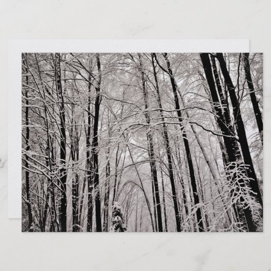 Winter trees (Front/Back)