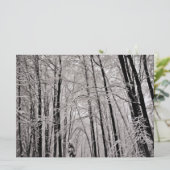 Winter trees (Standing Front)