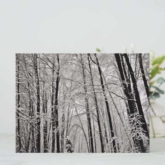 Winter trees (Standing Front)