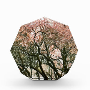 WINTER TREES ACRYLIC AWARD