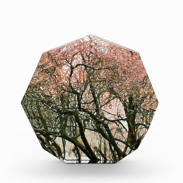 WINTER TREES ACRYLIC AWARD (Front)