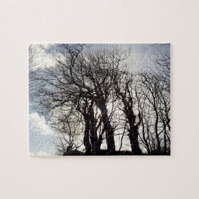 Winter Trees along a Country Lane Cornwall England Jigsaw Puzzle (Horizontal)