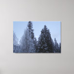 Winter Trees at Dawn Montana Landscape Canvas Print