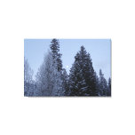 Winter Trees at Dawn Montana Landscape Canvas Print