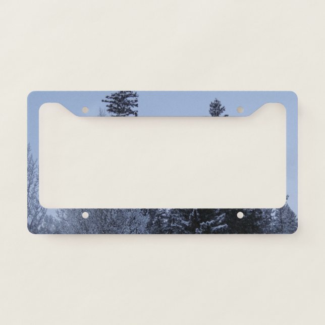 Winter Trees at Dawn Montana Landscape License Plate Frame (Front)