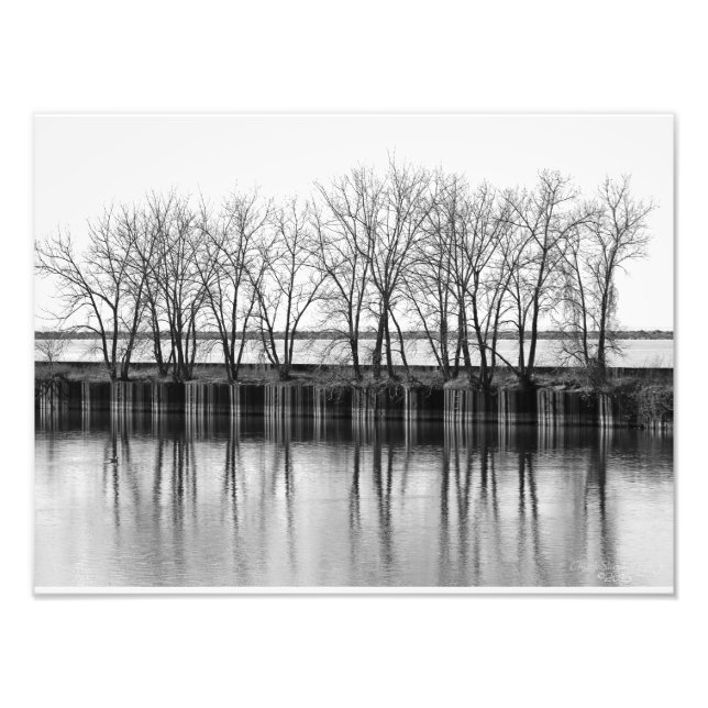 Winter Trees by the Water, B&W Photo Print (Front)