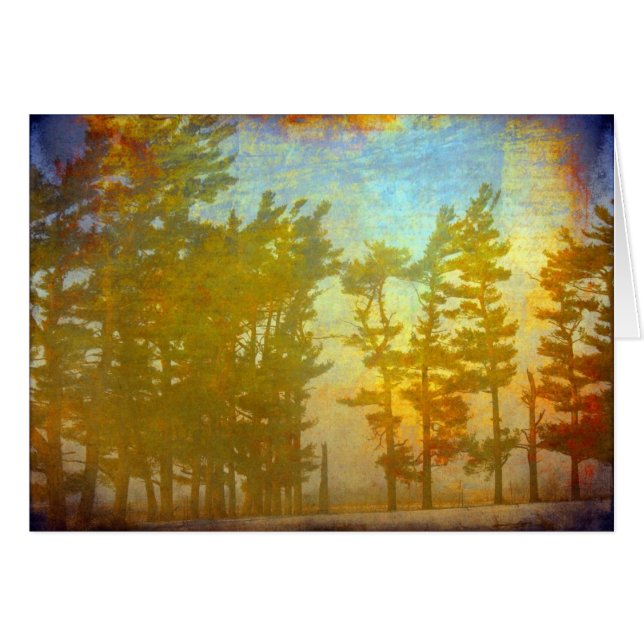 Winter Trees Cards (Front Horizontal)