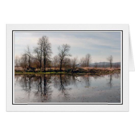 Winter Trees Cards (Front Horizontal)