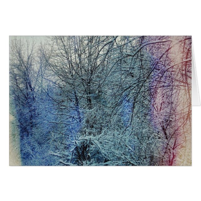 Winter Trees Cards (Front Horizontal)
