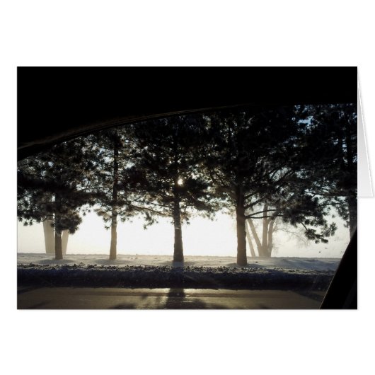 Winter Trees From Car Cards (Front Horizontal)