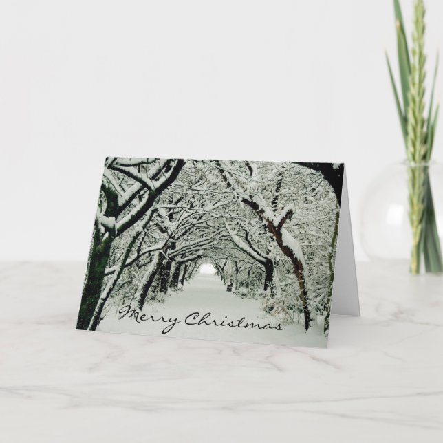 Winter Trees Holiday Card (Front)