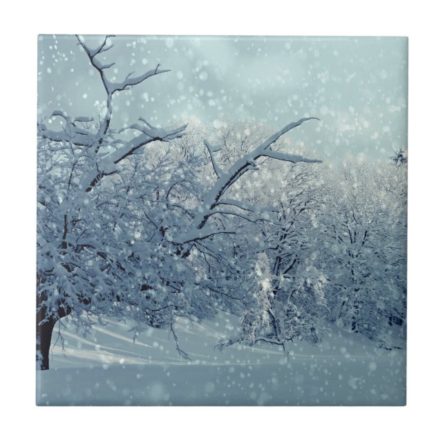 Winter Trees Landscape Ceramic Tile (Front)
