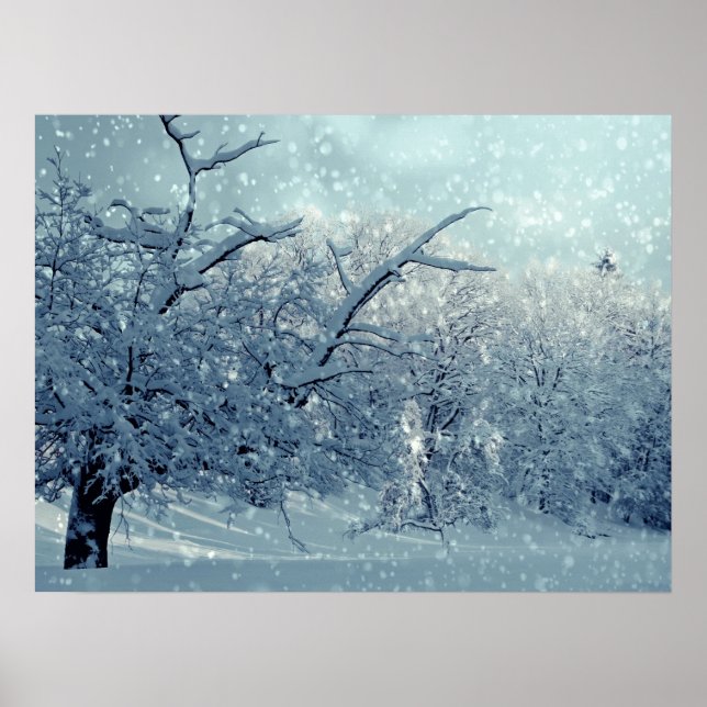 Winter Trees Landscape Poster (Front)