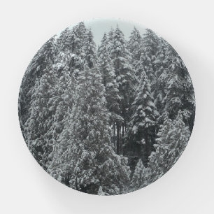 Winter Trees Paperweight