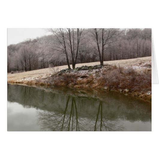 Winter Trees Reflected Cards (Front Horizontal)