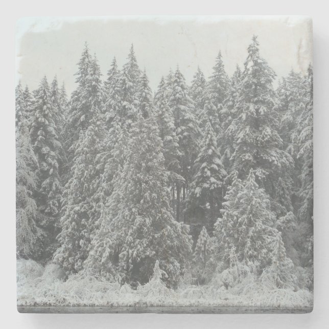 Winter Trees Stone Coaster (Front)