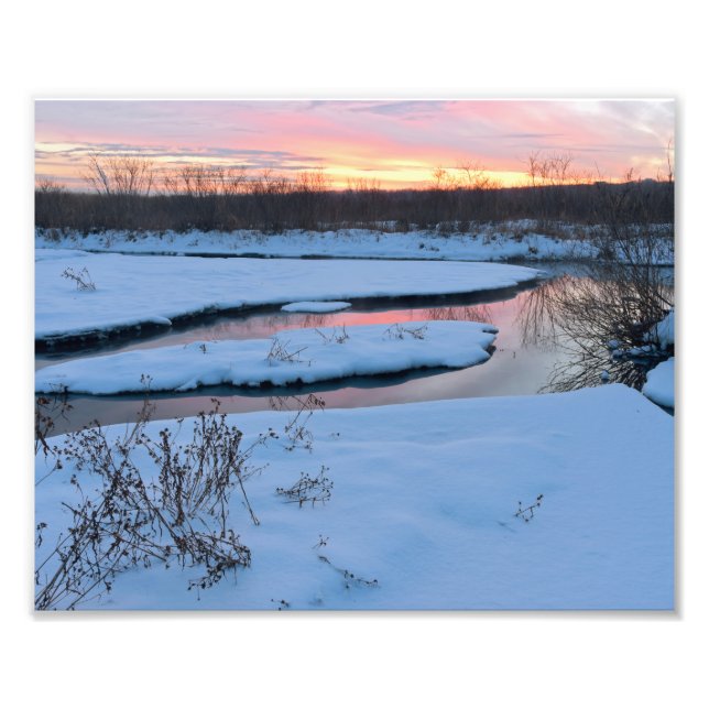 Winter Twilight at Wildlife Refuge Photo Print (Front)