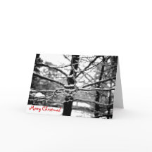 Winter v.2 [Christmas Card]
