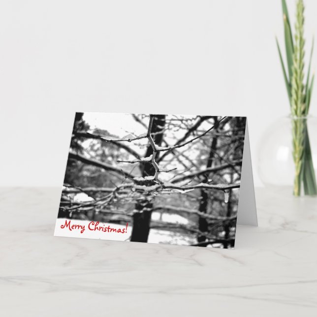 Winter v.2 [Christmas Card] Holiday Card (Front)