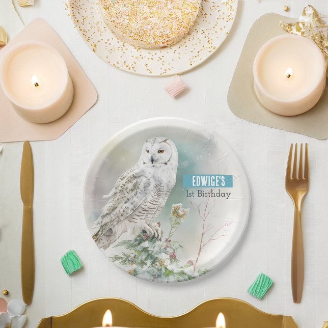Winter vibes Owl -  Birthday Party - Paper Plates (Creator Uploaded)