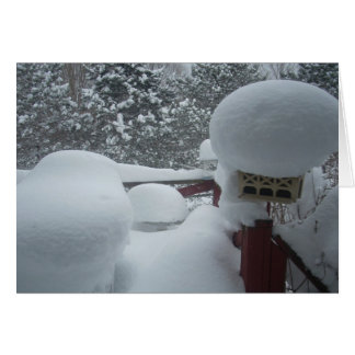 Winter View from the Porch Cards