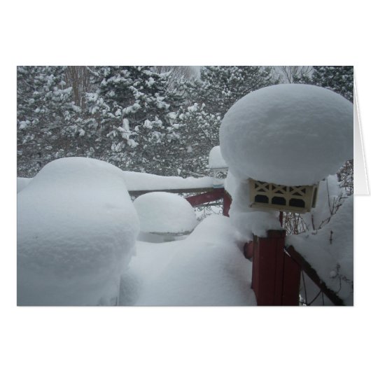 Winter View from the Porch Cards (Front Horizontal)