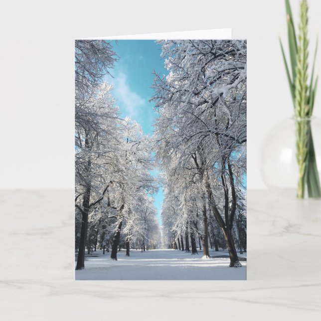 winter walk in the park holiday card (Front)