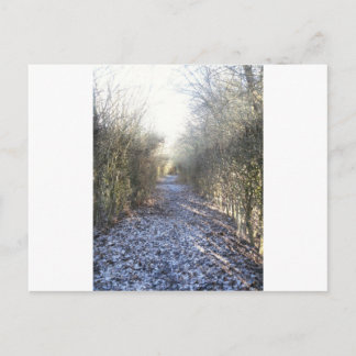 Winter walk postcard