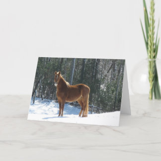 Winter Watch Card