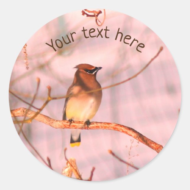 Winter Waxwing Wildlife Nature Personalized Classic Round Sticker (Front)