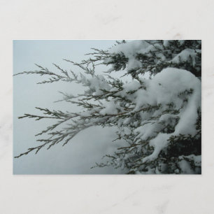 Winter Wedding Evergreen Tree With Snow Invitation