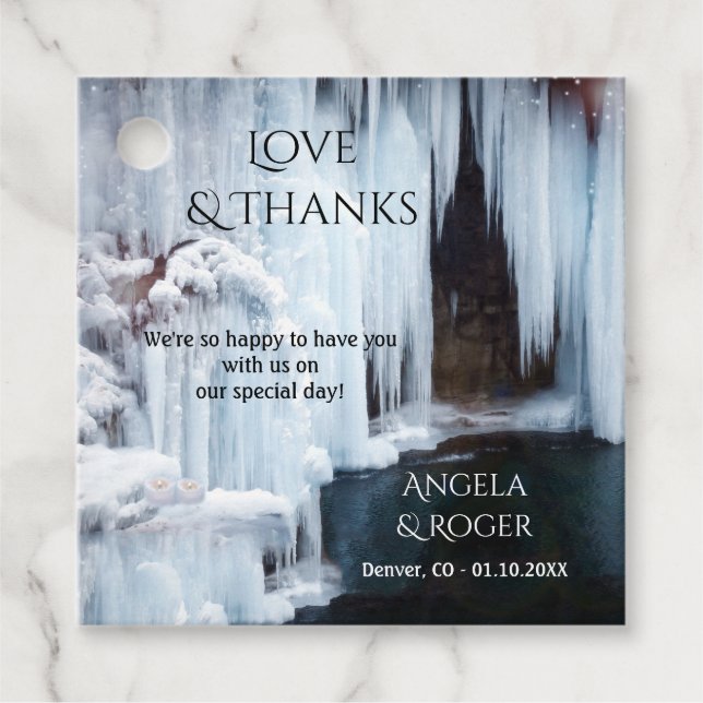 Winter Wedding Thank You Favor Tag (Front)