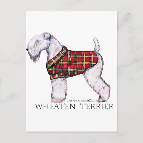 Winter Wheaten Terrier Postcard